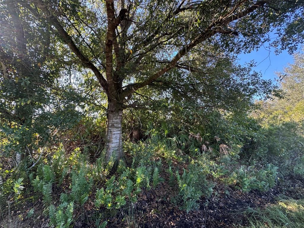 MLS #F10537456 image #0