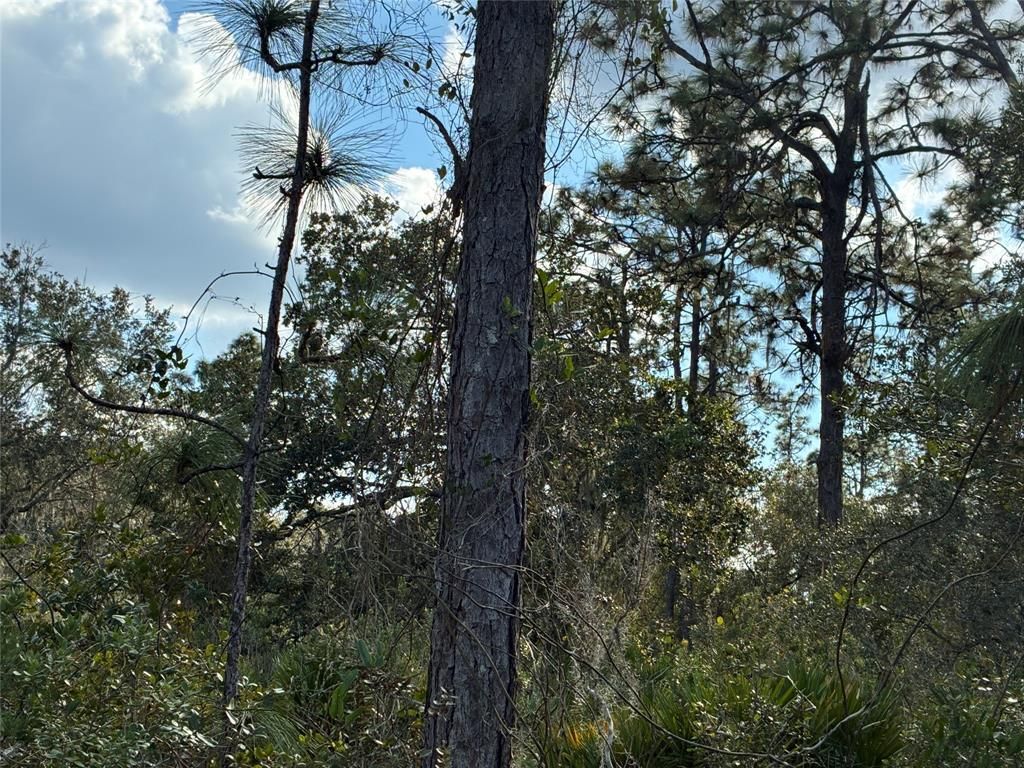 MLS #F10537708 image #0