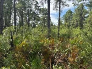 MLS #F10540326 image #0