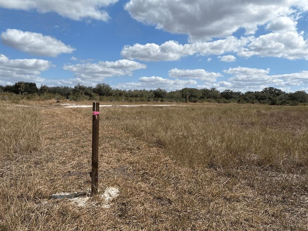 MLS #F10541712 image #0