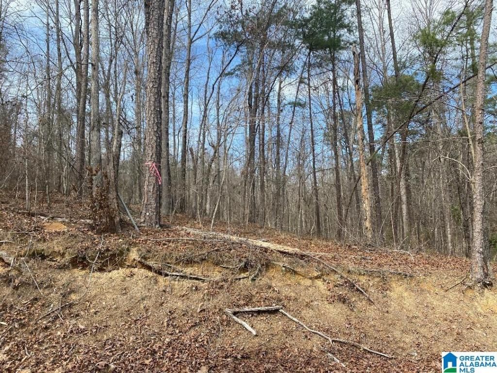 MLS #1348412 image #0