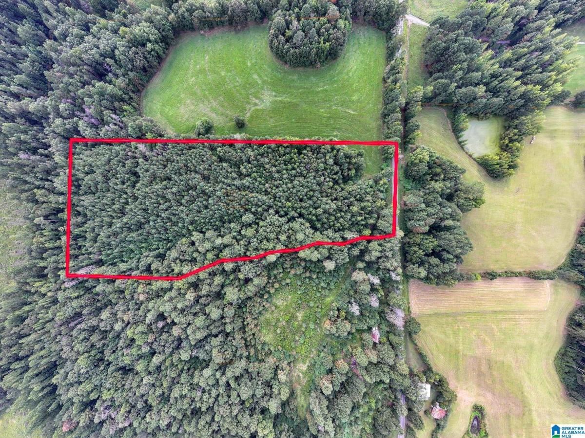 MLS #21428567 image #0