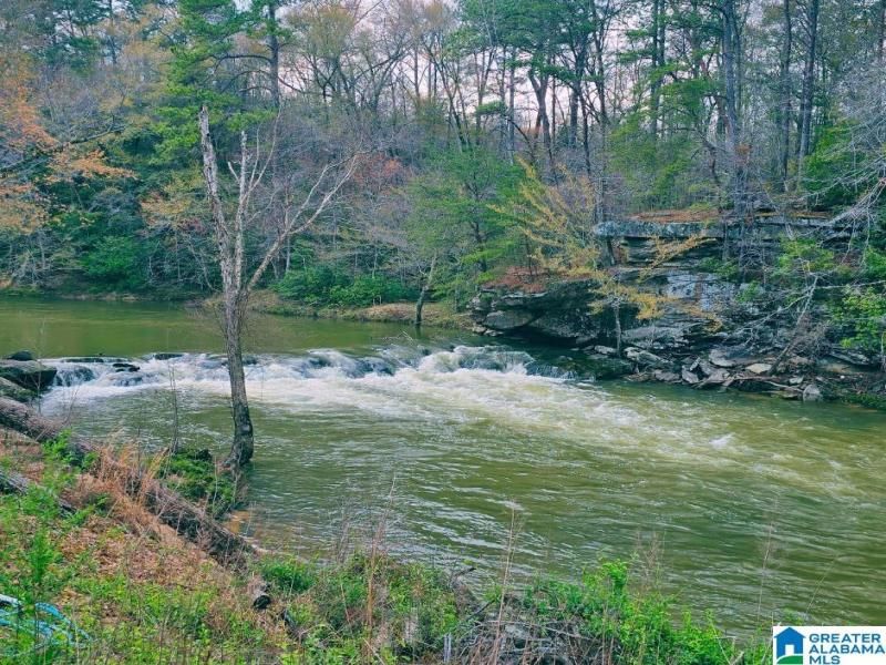 MLS #21434922 image #0