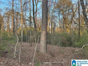 MLS #21445583 image #0