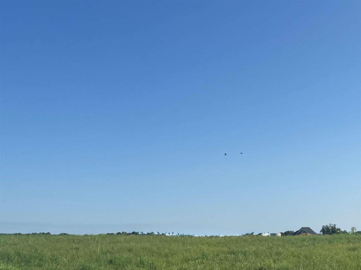 MLS #21463453 image #0