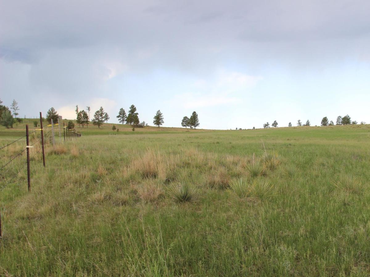 MLS #87892 image #0