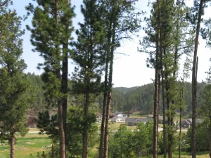 broker reciprocity