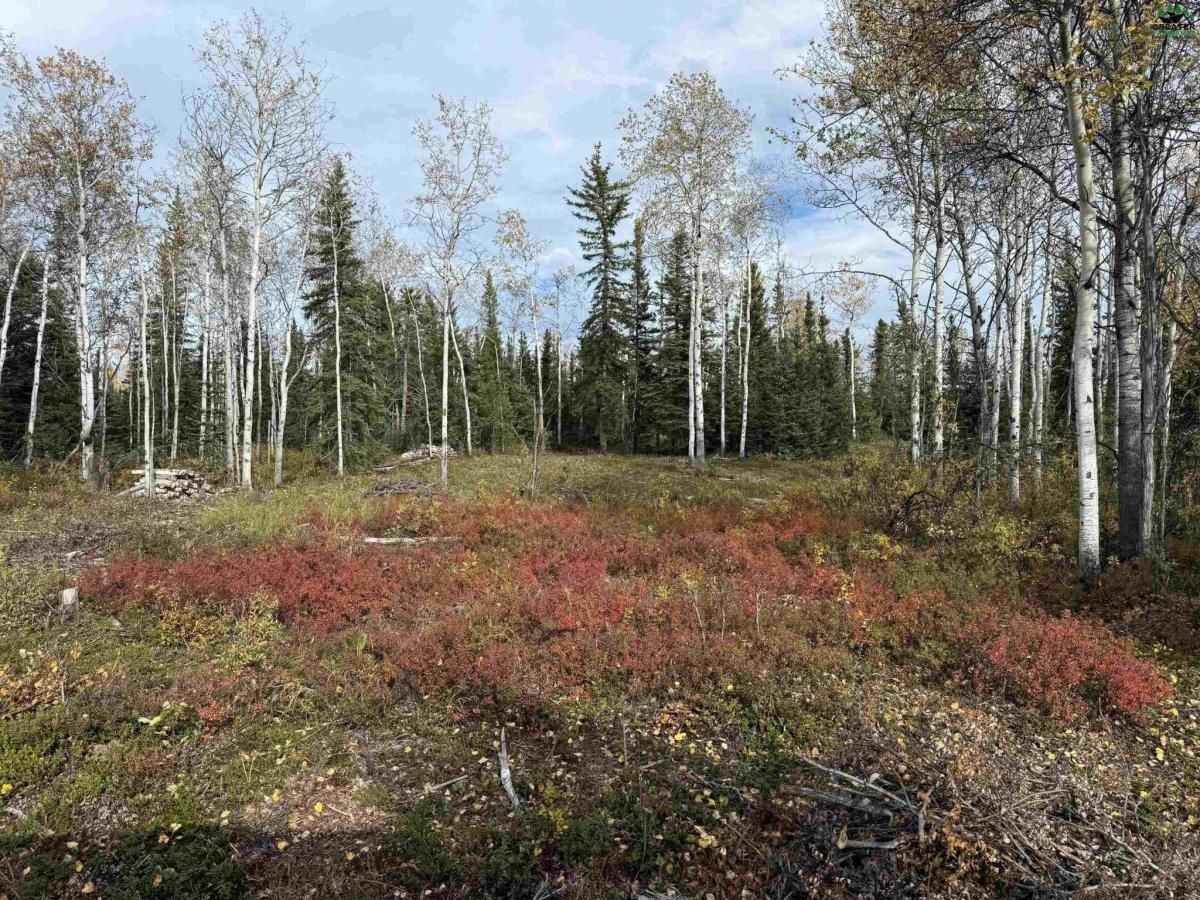 MLS #157393 image #0