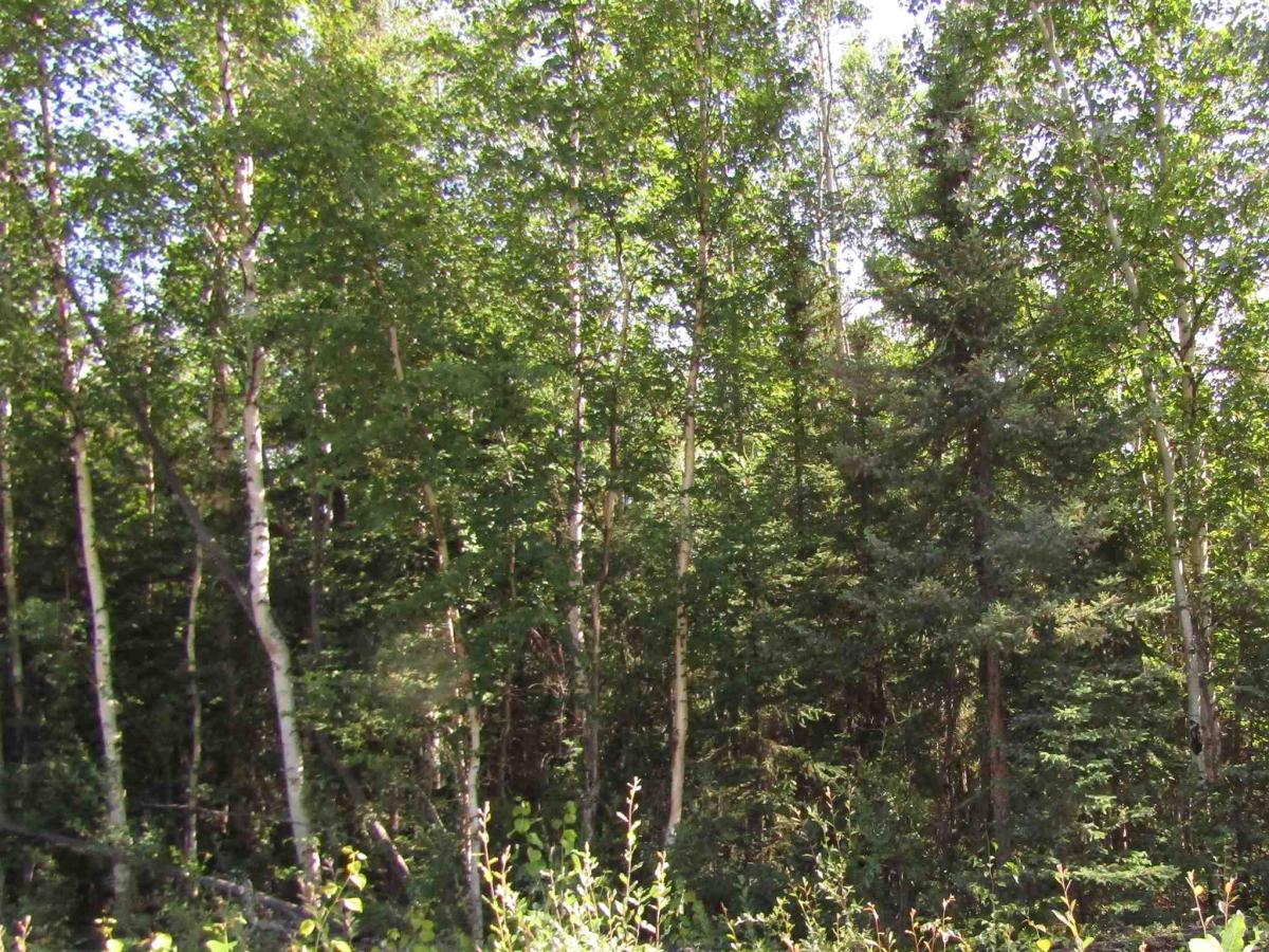 MLS #160615 image #0