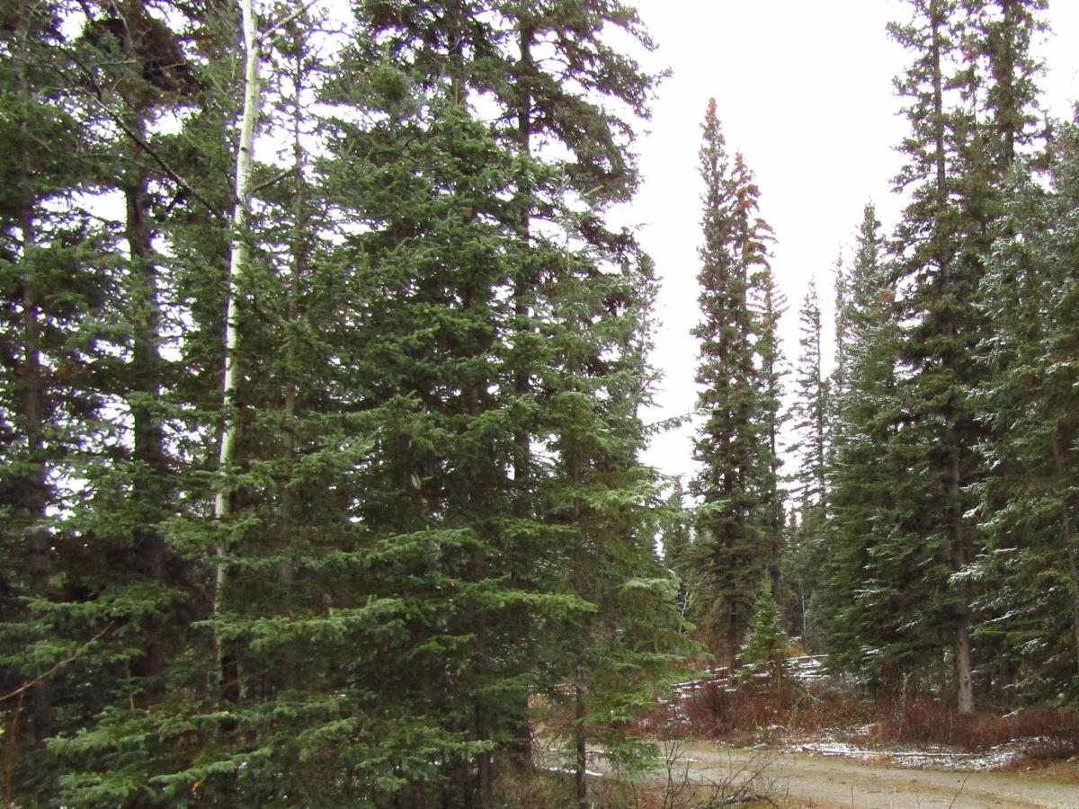 MLS #161500 image #0