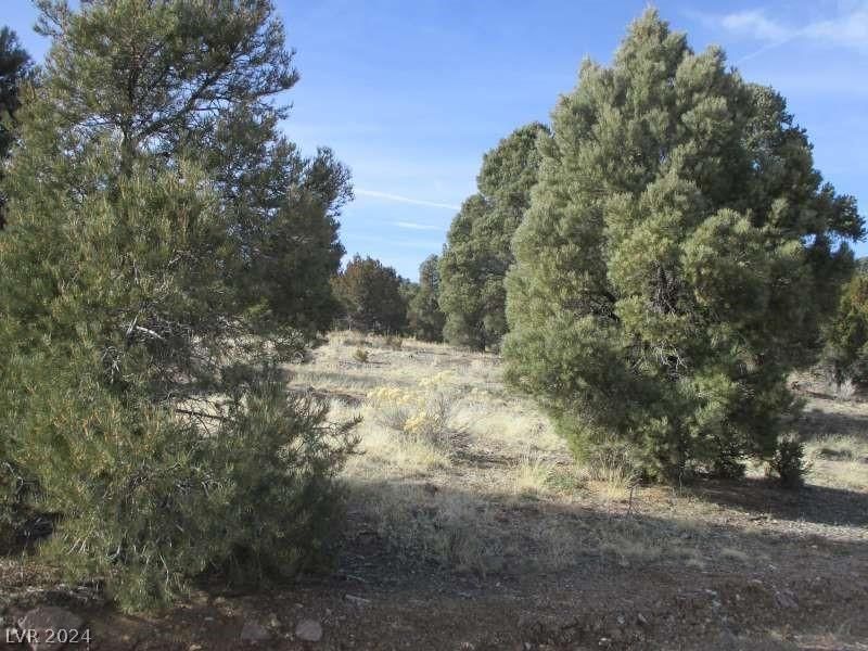 MLS #2569955 image #0