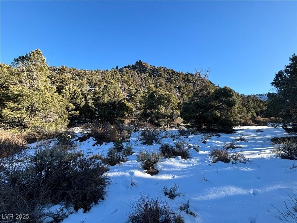 MLS #2689404 image #0