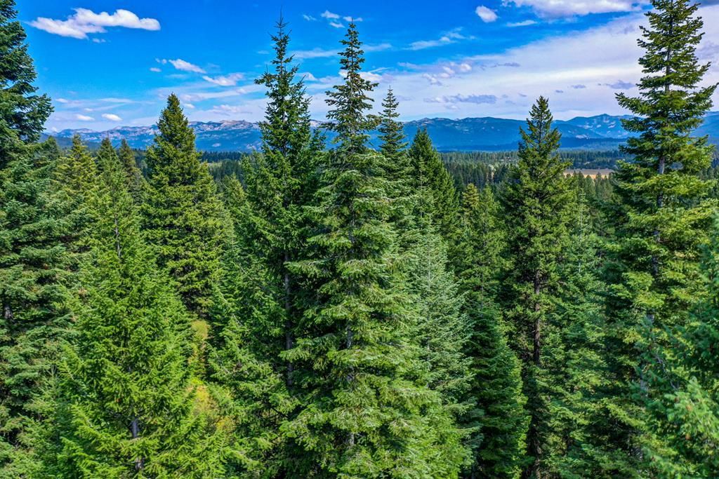 MLS #537058 image #0