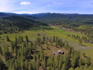 broker reciprocity