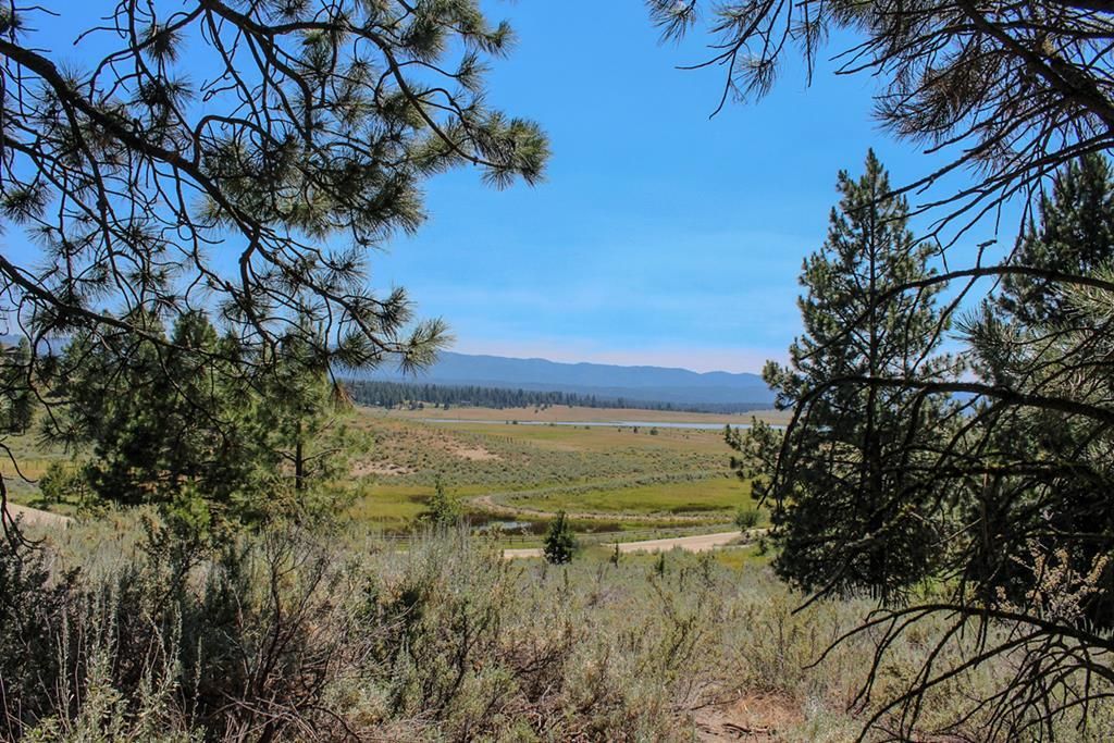 MLS #542381 image #0