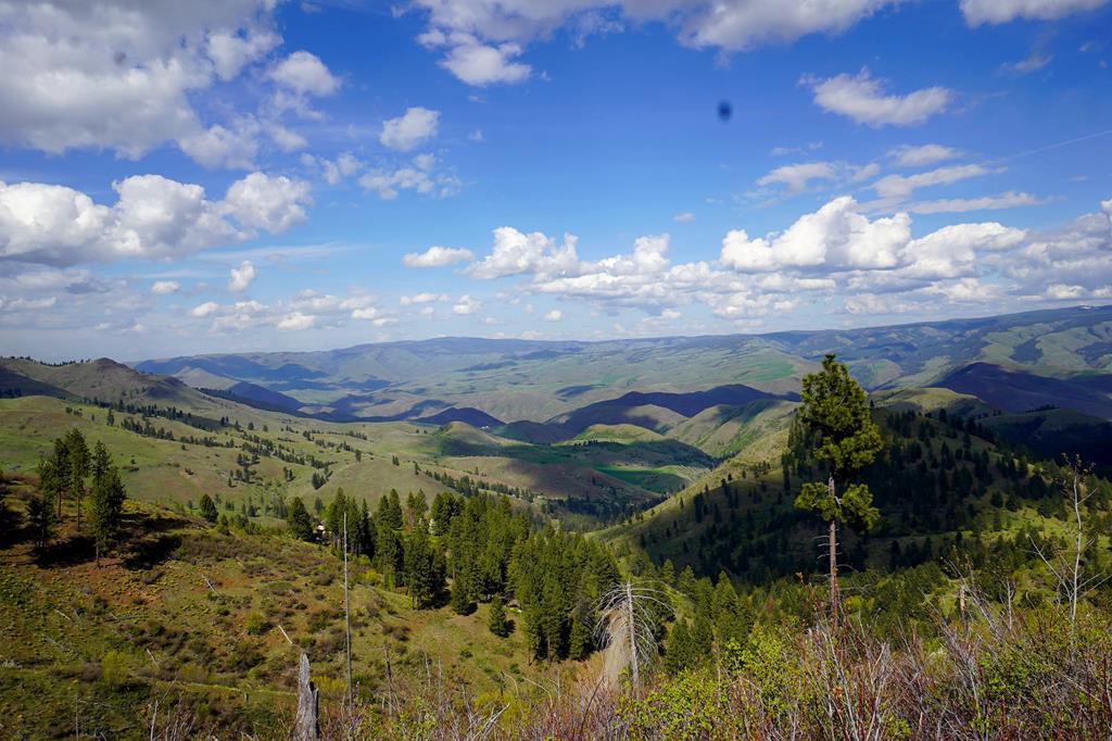 MLS #542659 image #0