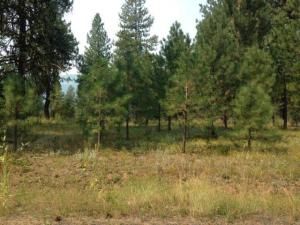 MLS #542752 image #0