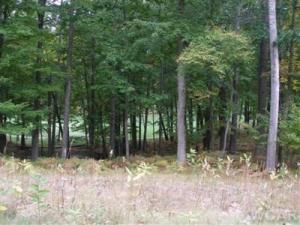 MLS #14009272 image #0