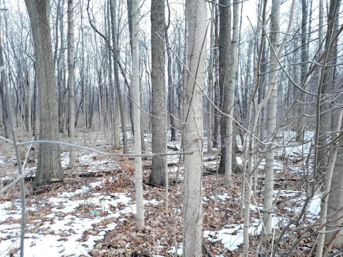 MLS #19004490 image #0