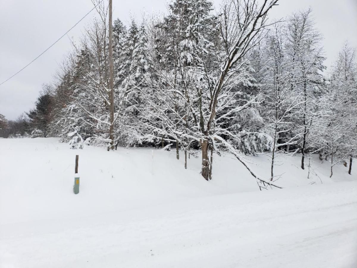 MLS #19059213 image #0