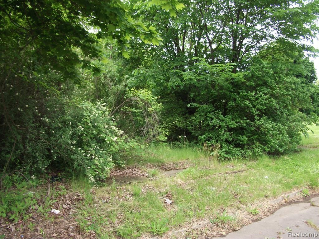 MLS #20221003245 image #0