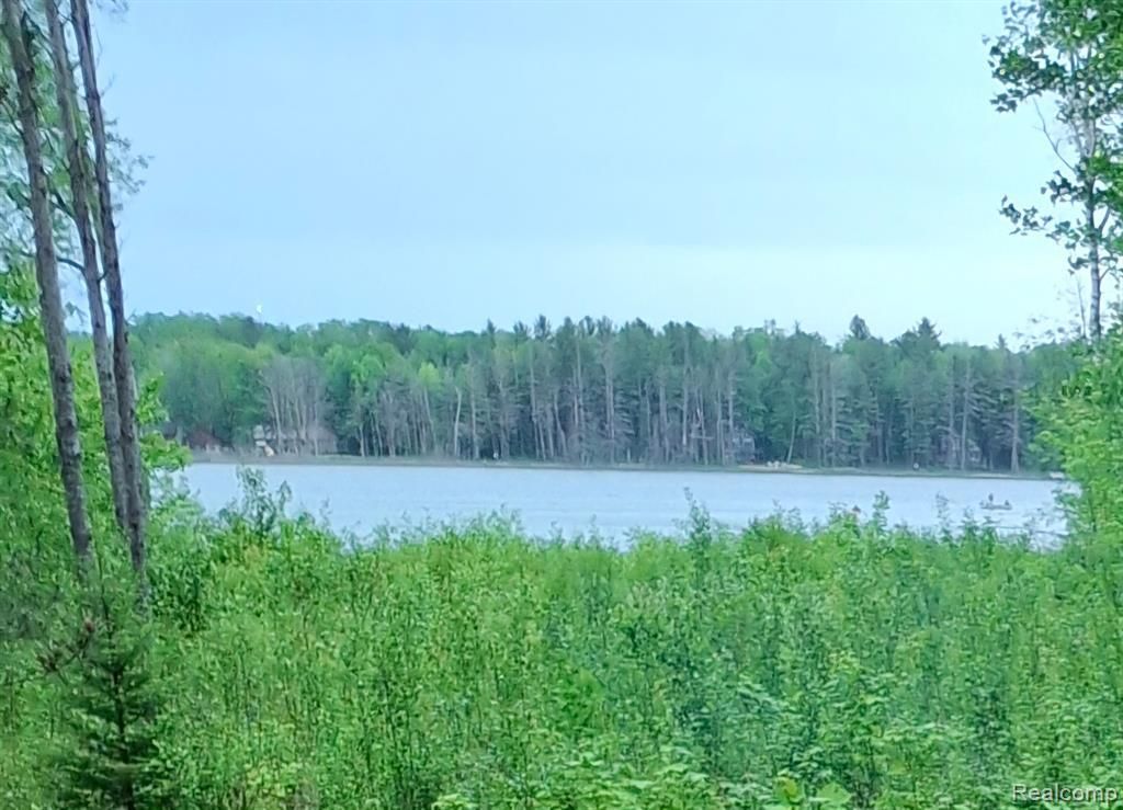 MLS #20240063161 image #0