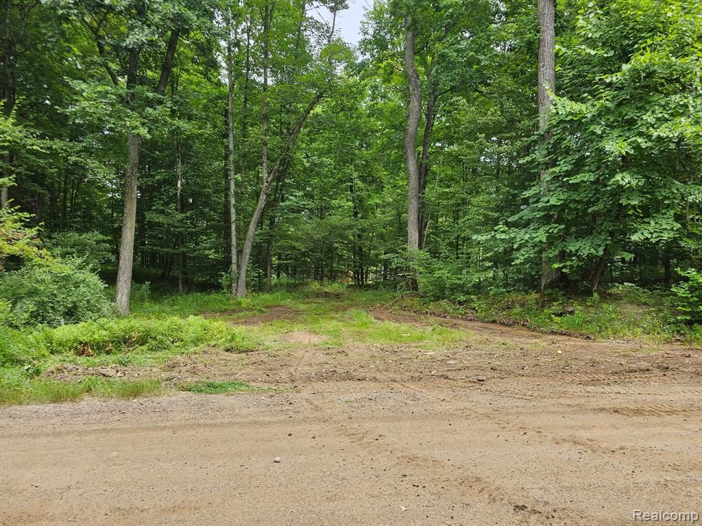 MLS #20251029195 image #0