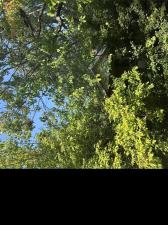 MLS #20251046352 image #0