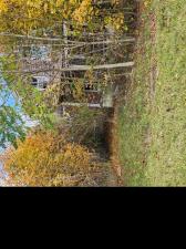 MLS #20251050179 image #0