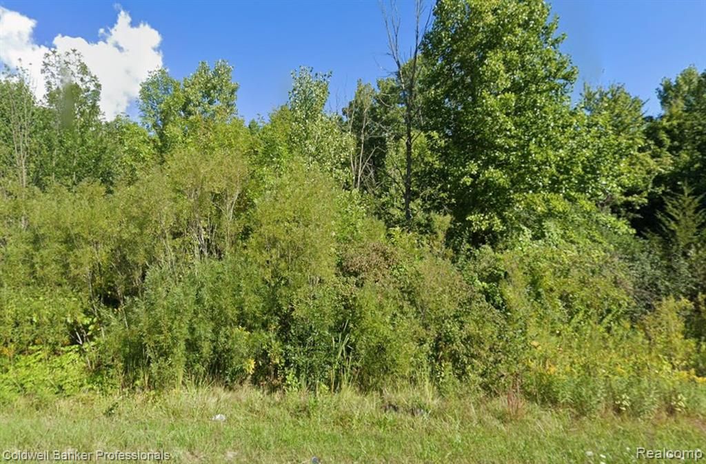 MLS #20251050787 image #0