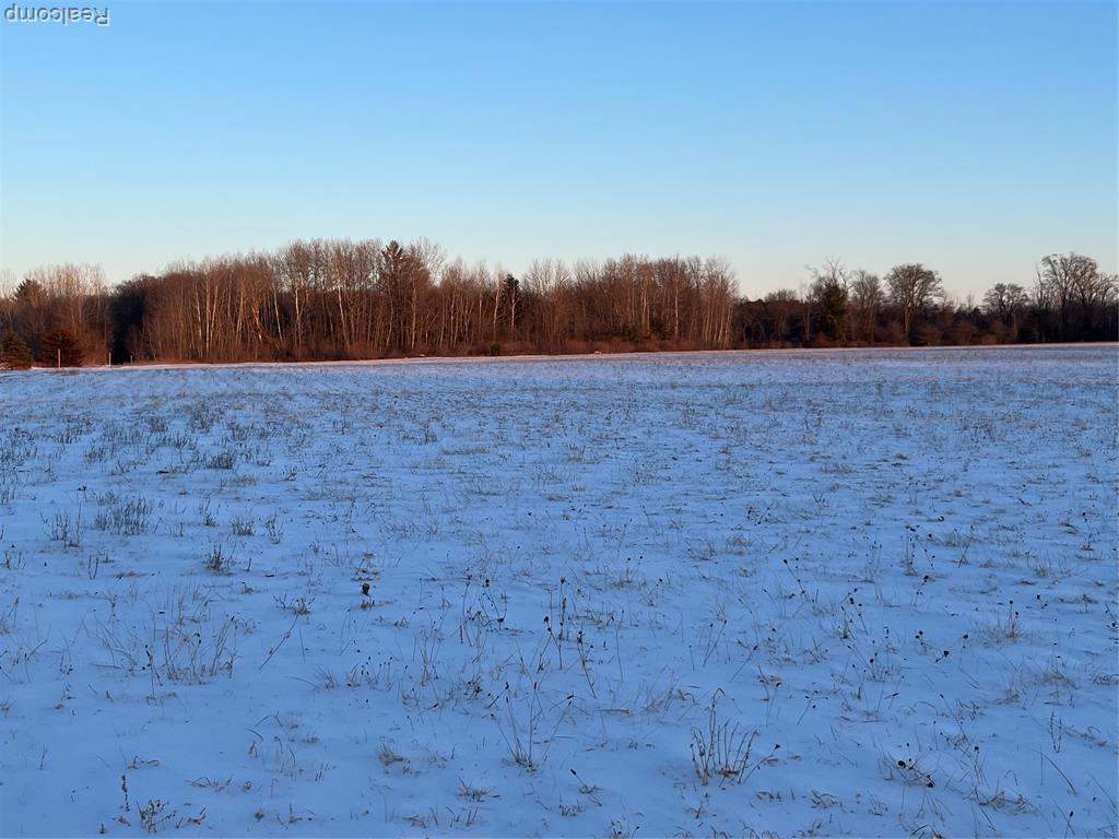 MLS #20261007946 image #0