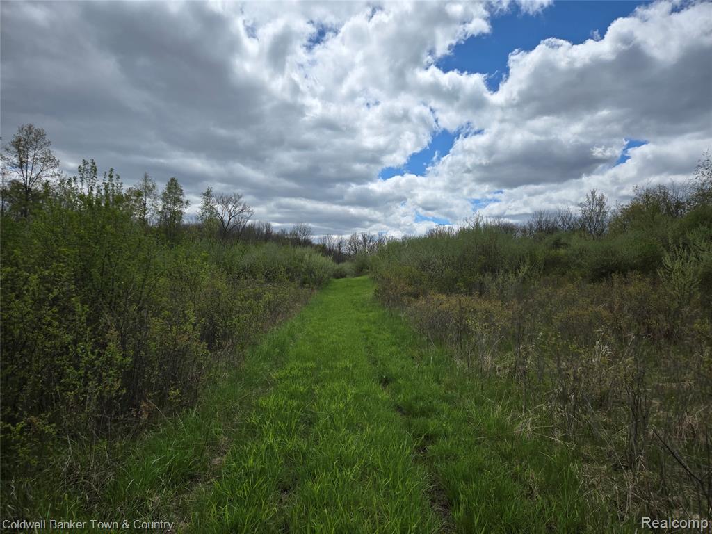 MLS #20261029651 image #0