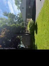 MLS #20261041539 image #0