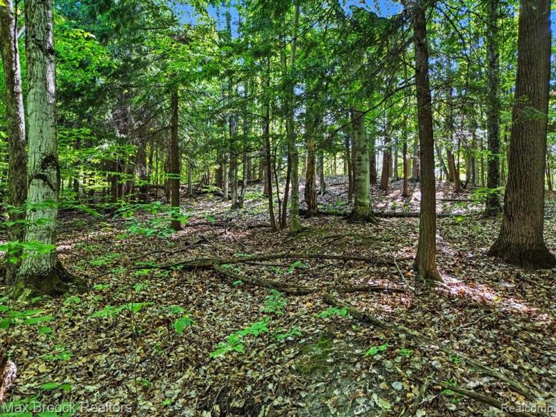 MLS #20261045692 image #0