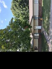 MLS #20261050817 image #0
