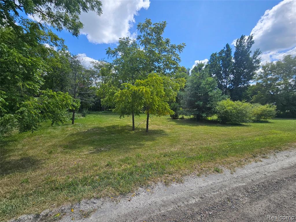 MLS #20261058845 image #0
