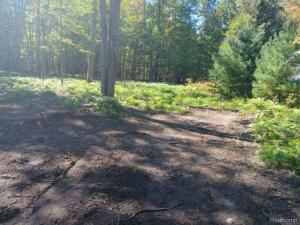 MLS #20261062353 image #0