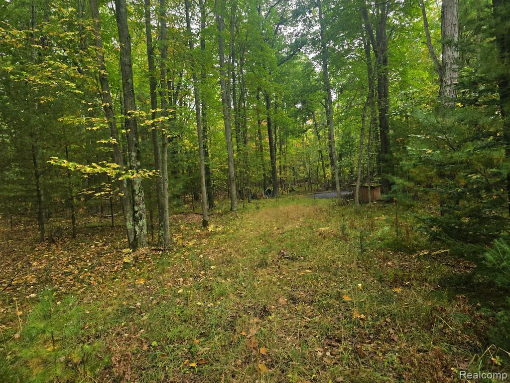 MLS #20261062962 image #0