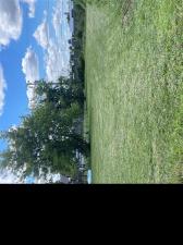 MLS #20261065253 image #0