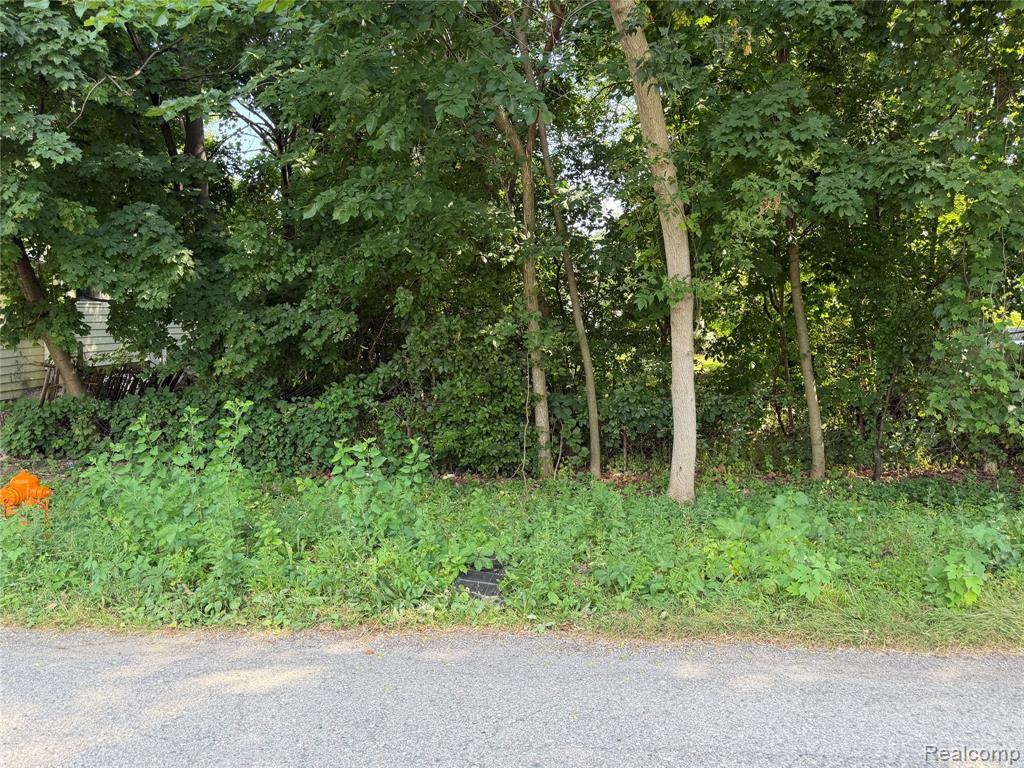 MLS #20261067865 image #0