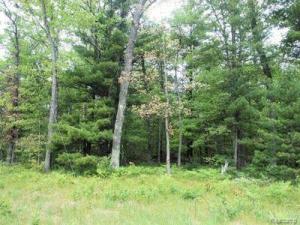 MLS #20261074302 image #0