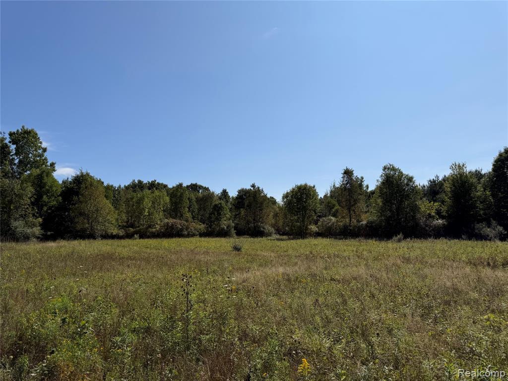 MLS #20261074369 image #0