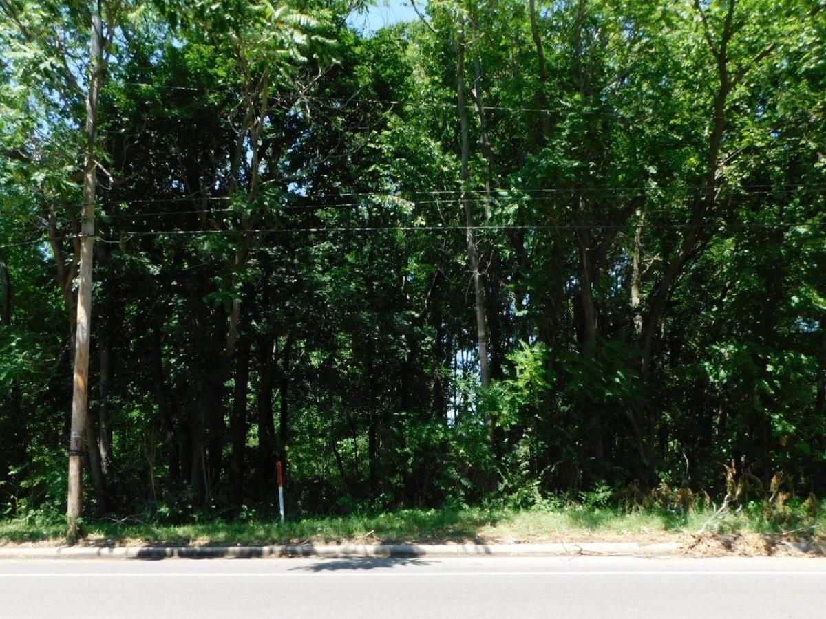 MLS #23004006 image #0