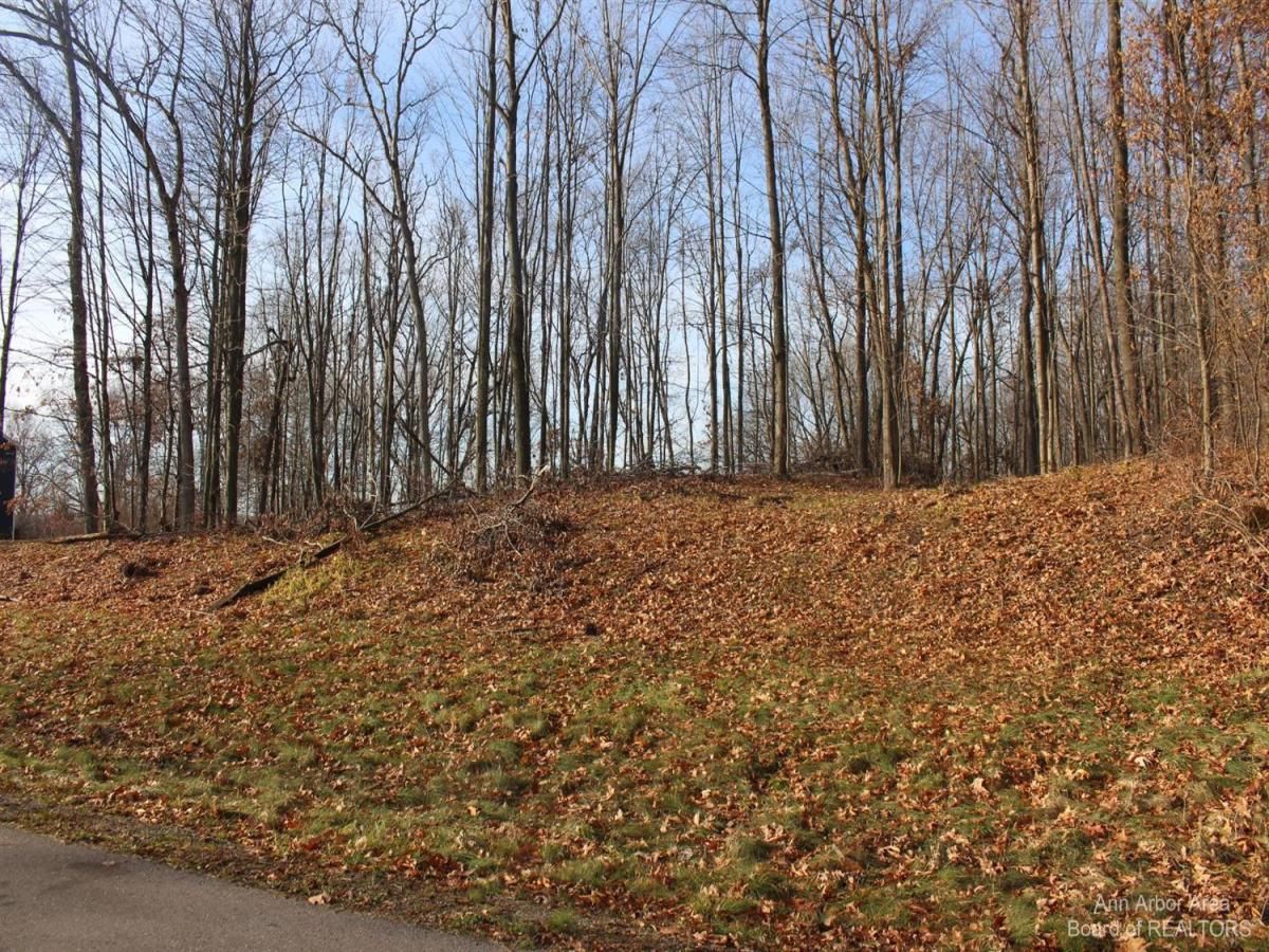 MLS #23103549 image #0