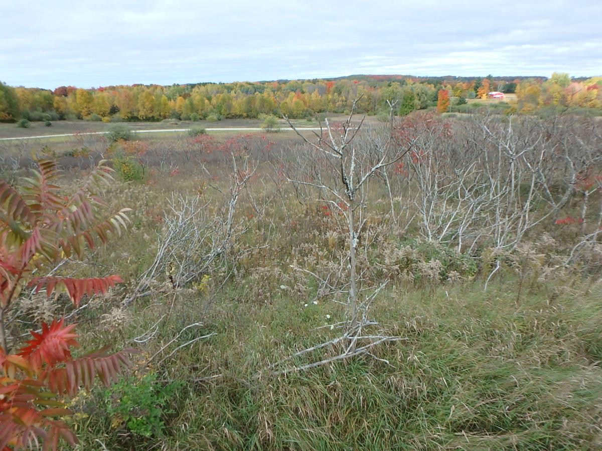 MLS #23140315 image #0