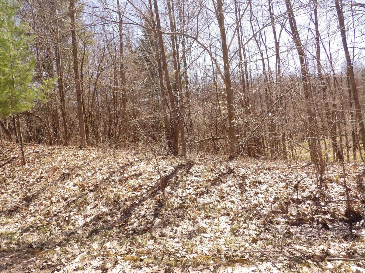 MLS #24018718 image #0