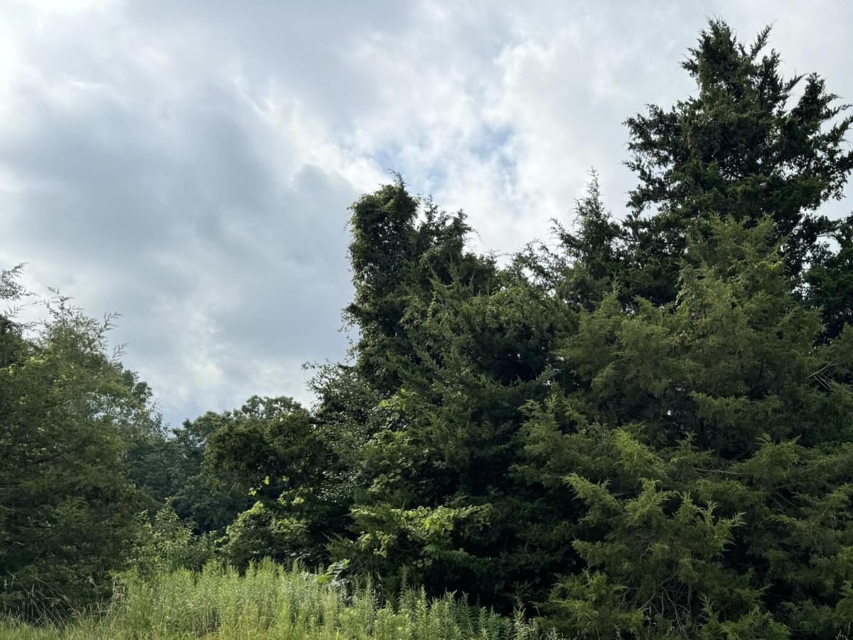 MLS #24040425 image #0
