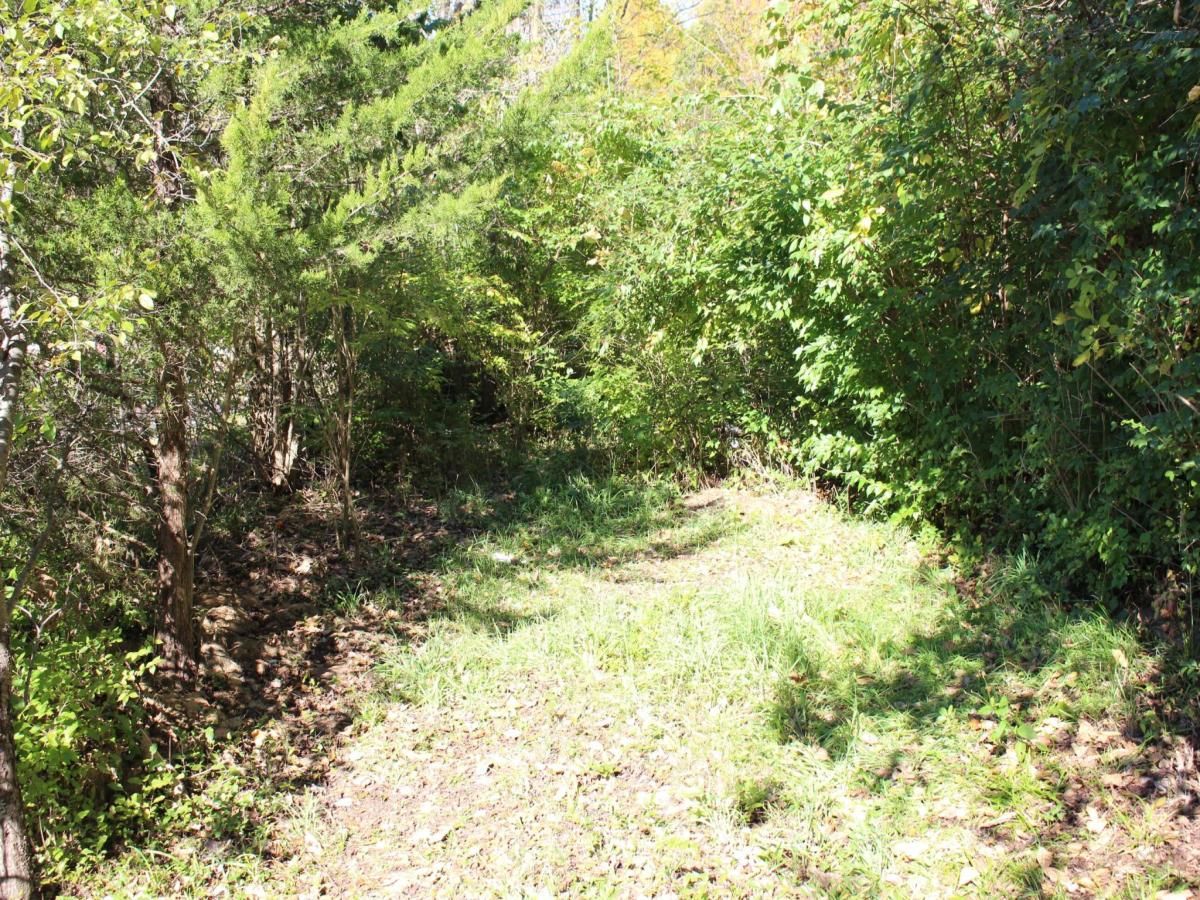 MLS #24054855 image #0