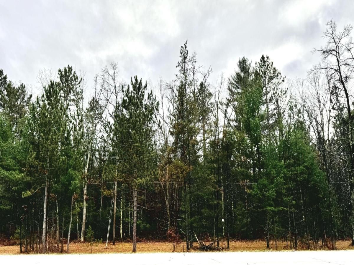 MLS #24058413 image #0