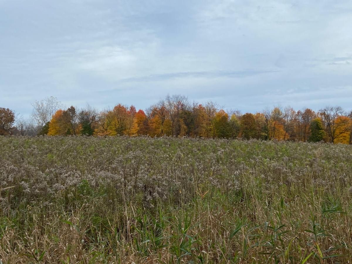 MLS #24059462 image #0